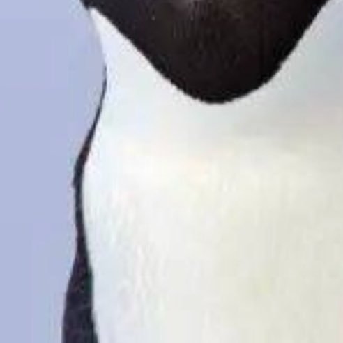 rllydontkare's profile picture. have low self-esteem pls don’t follow me thx