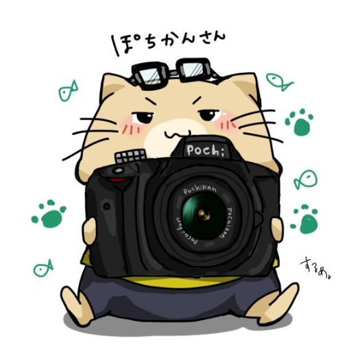 ぽちかん🐾