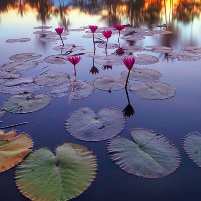 Martinez_Al's profile picture. Professionnel des Achats, AgroAlim, Ach Indir, Pharma, Retail.Féru d'Actus, Politique et Nouvelles Technos. Mes RT ne valent pas approbation ;-)