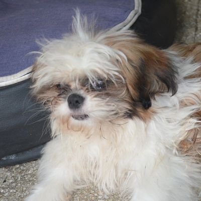 JonaBacio Profile Picture