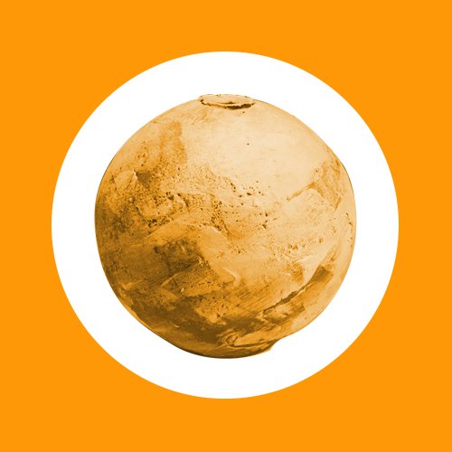 rye_cat's profile picture. 