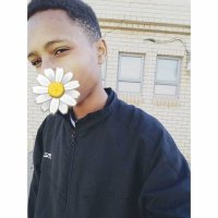 🌙 (@the__fallss) 's Twitter Profile