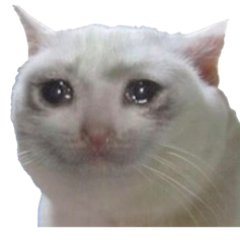 Chaptoes's profile picture. Bro im kinda sad rn