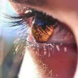 MariamElkady17's profile picture. ف والله بقدر ماضاقت الُدنيا عليكَ سَتتسِع ❤