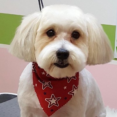 Miss_GA_Libra's profile picture. “Nothing in the world is more Dangerous than Sincere Ignorance and Conscientious Stupidity”....MLK JR.