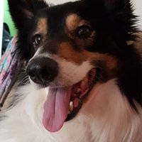 Sue Billcliffe (@sbillcliffe) 's Twitter Profile Photo Sue Billcliffe (@sbillcliffe) 's Twitter Profile Photo