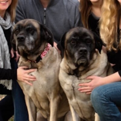 math6th7thDMS's profile picture. math teachers