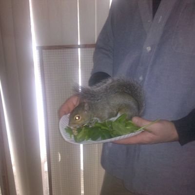 Russianhackers4's profile picture. Really just spend most my time on the computer. Virtual family is the greatest.
and.... it's to be taken lightly