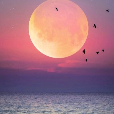 sahal_y's profile picture. 