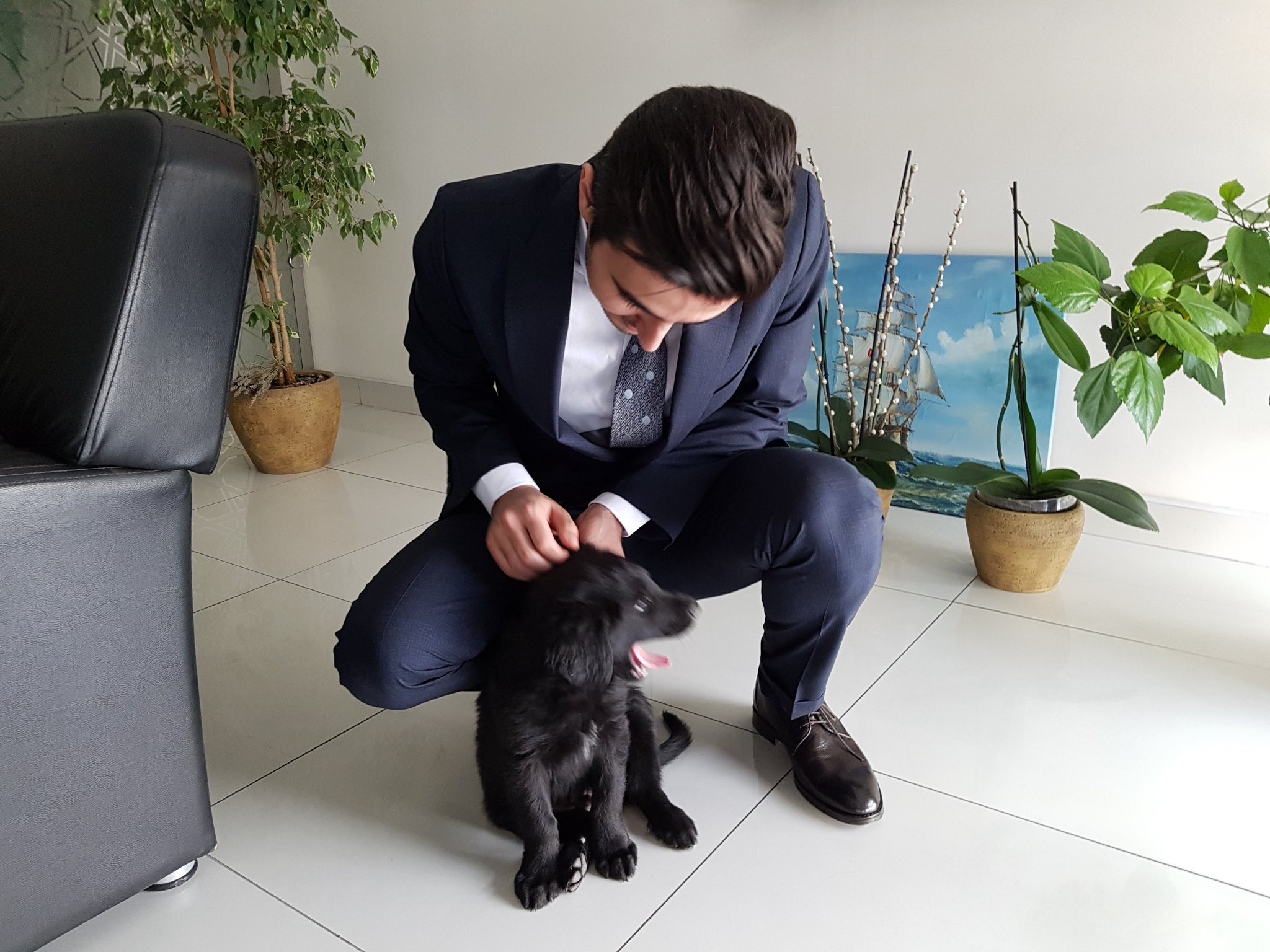 nevayeshirazi's profile picture. 