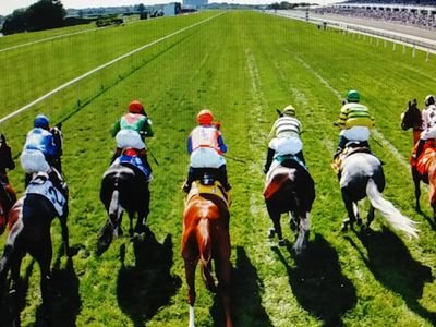 競馬
浦和競馬場
中山競馬場
ポケモンgo
飲み会
大宮市場
ラーメン
マリオ、カービィー、スイッチ