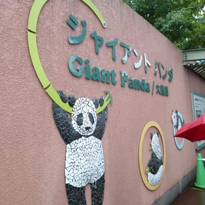 AzAsukashinba's profile picture. 