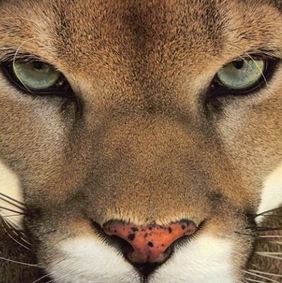 FeliciahWin's profile picture. 