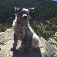 L (@llhavel15) 's Twitter Profile