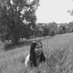 belza09 (@belza_09) Twitter profile photo belza09 (@belza_09) Twitter profile photo