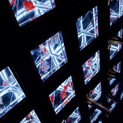 HellenXyoshiki's profile picture. 