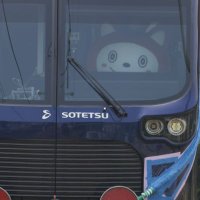 海都 (@st_exp) 's Twitter Profile