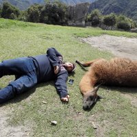 Gabriel Jimenez (@alexandrojim) 's Twitter Profile