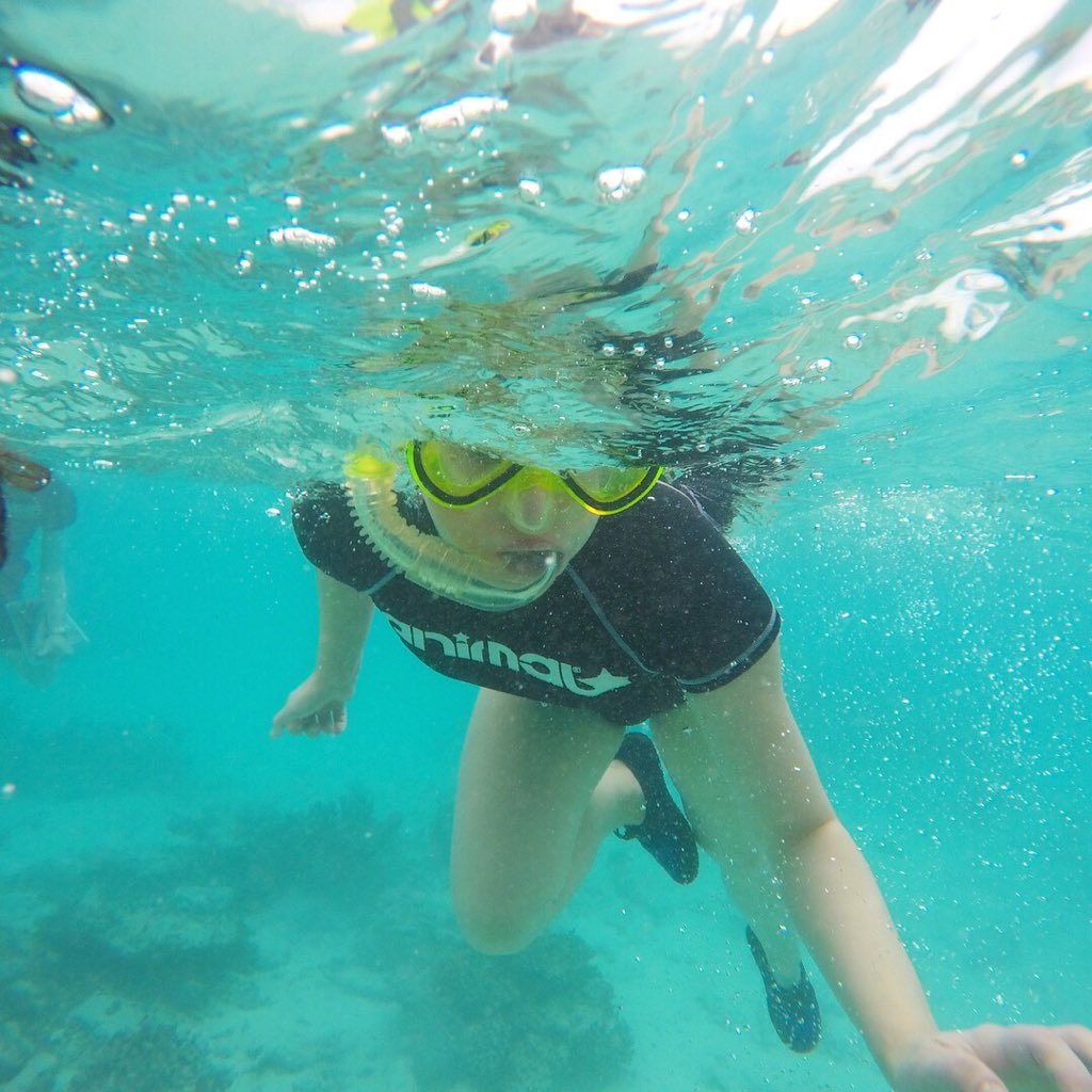 bryonyswildlife's profile picture. I am passionate about all things related to wildlife and conservation 🐒