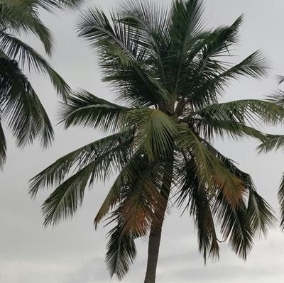 nallasivam_ise's profile picture. 