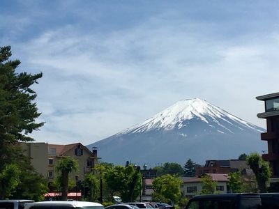 lbTA3juG5DwRGdp's profile picture. 