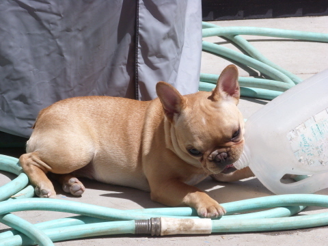 LadyYaoYao's profile picture. 