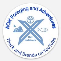 AOK Foraging and Adventures(@and_aok) 's Twitter Profile Photo