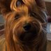 Cheryl Foster (@cfoster450) Twitter profile photo Cheryl Foster (@cfoster450) Twitter profile photo