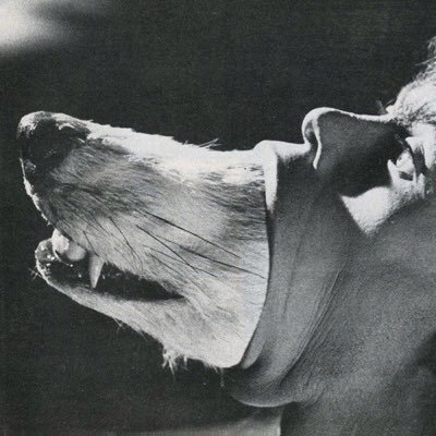 jo___21's profile picture. 