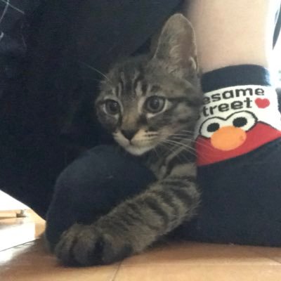 yu___mikan's profile picture. 