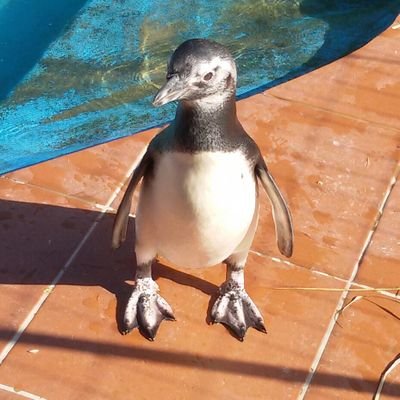 DanyHS6's profile picture. 