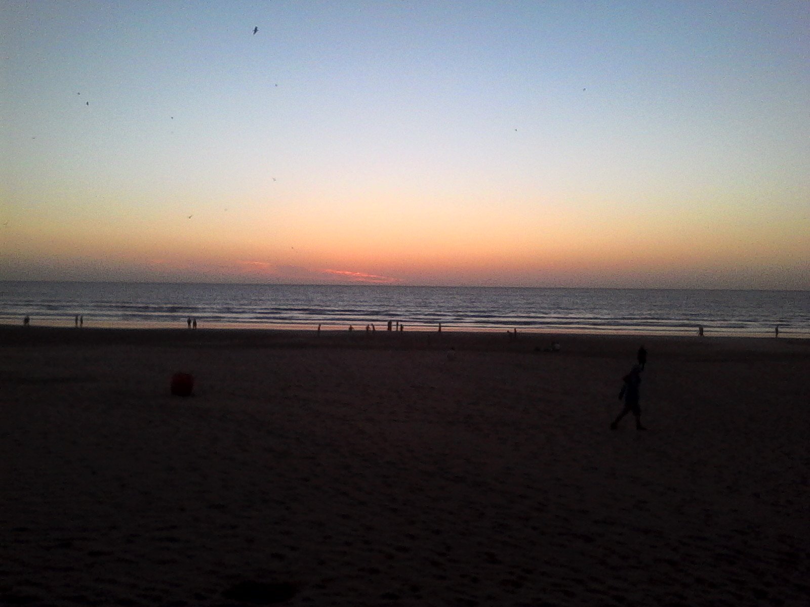 Majidma15897225's profile picture. 