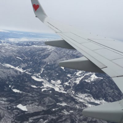 yokosuka1995's profile picture. 