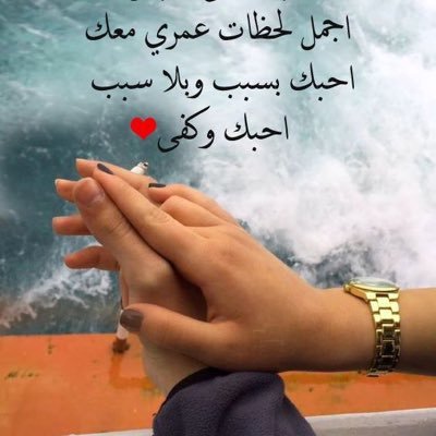 لا تعليق