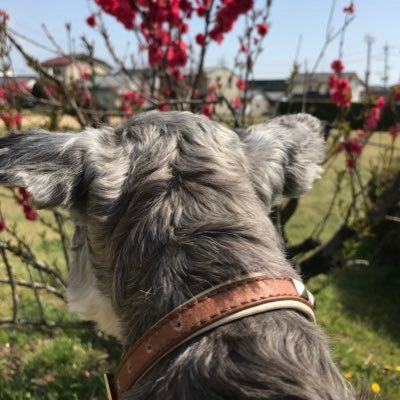 Halley19862061's profile picture. 言いたいことを遠慮せず。