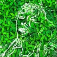 Rabisco sap (@rabiscosap) 's Twitter Profile