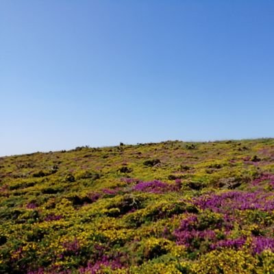 thimag's profile picture. Hic et nunc