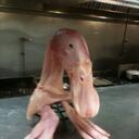 Bill Crouse - @billcrouse - Twitter