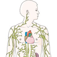 Lymphoma Papers (@lymphoma_papers) 's Twitter Profile Photo Lymphoma Papers (@lymphoma_papers) 's Twitter Profile Photo