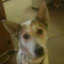 Sam Wise - @Wisesam16 - Twitter