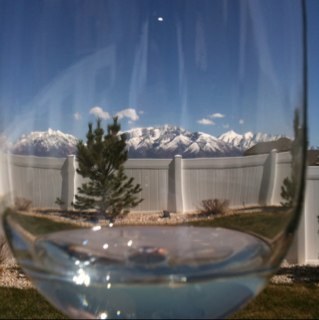 thewinejerk's profile picture. 