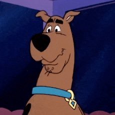 alldogsgotohvn's profile picture. 