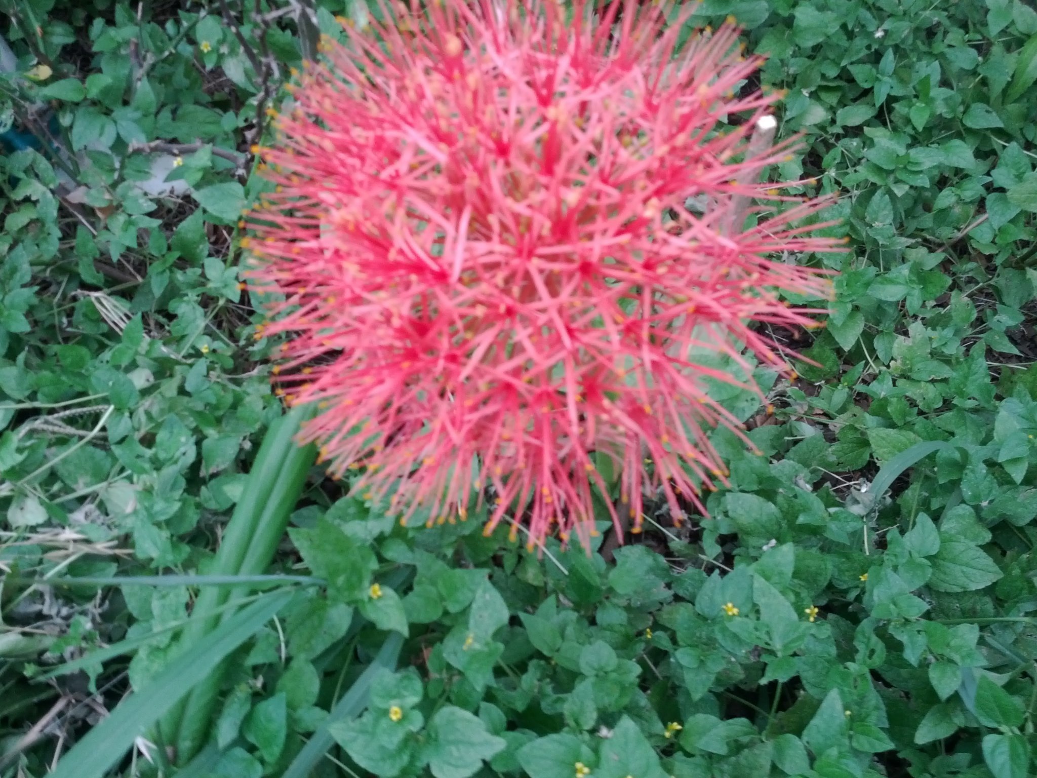 jamesminze's profile picture. #TRUMP #MAGA #KAG #GOD #GUNS #NRA #CONSERVATIVE  #FREESPEECH #RABBITS #LIVEFOREVER #FOLLOWBACK