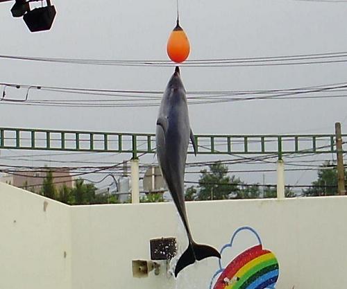 mietokou's profile picture. この頃アップアップ状態呟いてはいません。でもすぐは返せないけど”基本フォロー返し100％です。”必見・・・