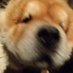 Turnii (@turniirs) Twitter profile photo Turnii (@turniirs) Twitter profile photo