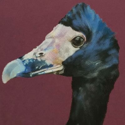 kandalvandal's profile picture. Self-conscious human, unmotivated artist, & anxiety-ridden student 😬