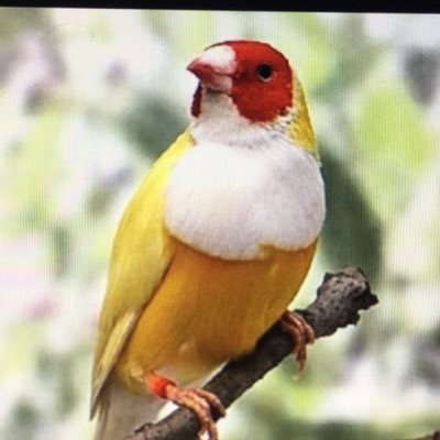 uZjIxjZjXdjKGI4's profile picture. 