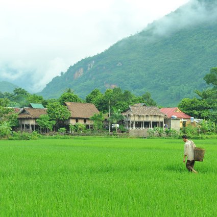 HomestayTours's profile picture. Discover all Vietnam homestay tours directly from local tour guides; Get all free practical information…