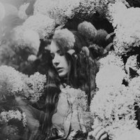 Savvymale (@savvymale) 's Twitter Profile