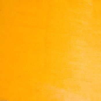 inesbhue's profile picture. 